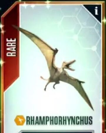 Rhamphorhynchus Jurassic Park Wiki Fandom