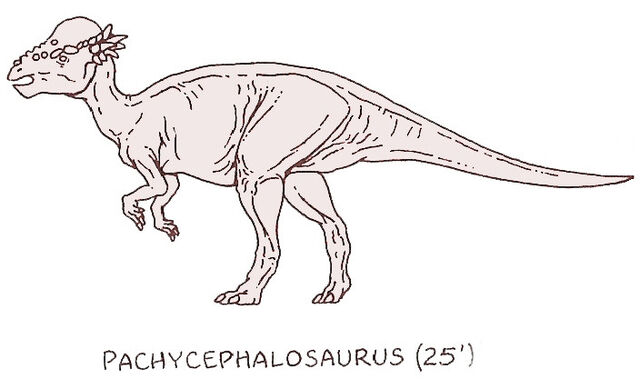Image Pachycephalosaurus By Ponchofirewalker01 Jurassic Park Wiki Fandom Powered By Wikia 1817