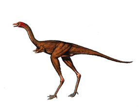 Shuvuuia