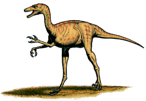Troodon