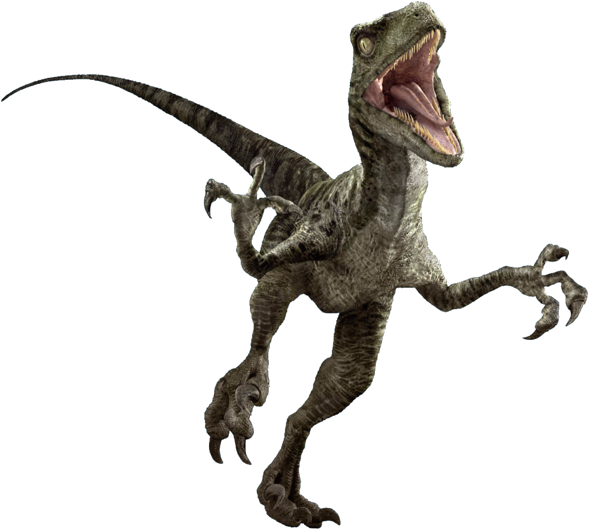 Velociraptor No Background