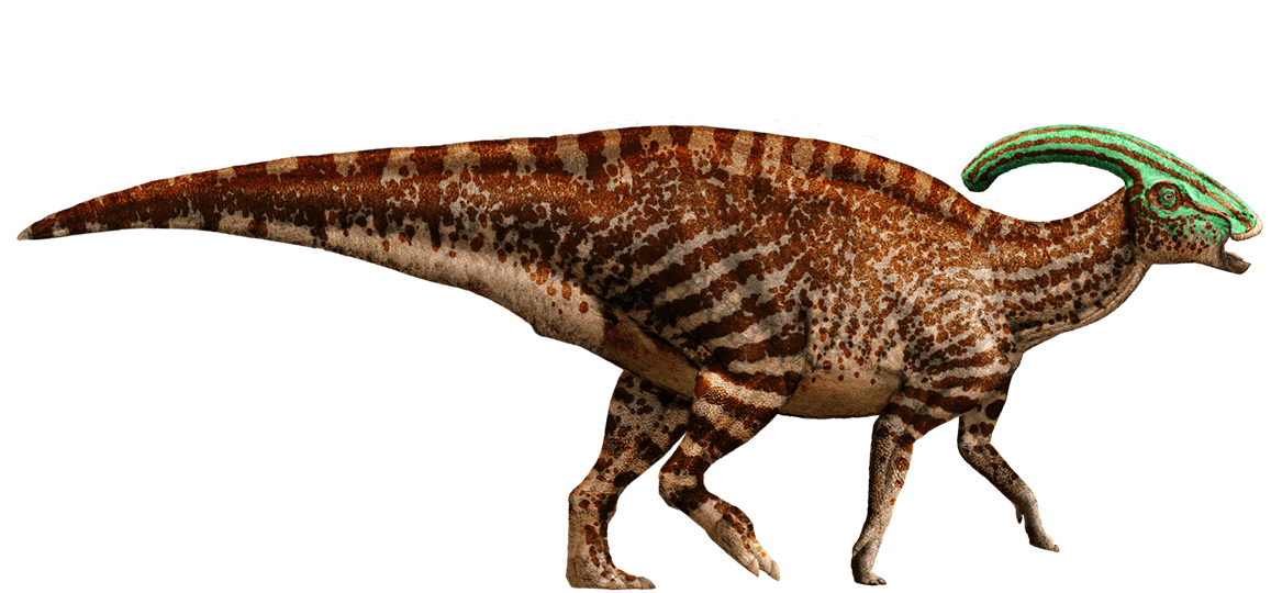 3/'/' Tall Jurassic Parasaurolophus Dinosaur Model Toy Animal Figure Green