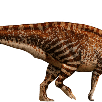Parasaurolophus Jurassic Park Wiki Fandom