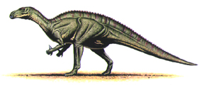 Iguanodon