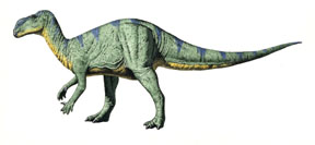 Muttaburrasaurus