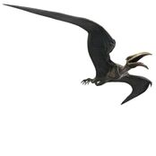 Pterodactylus-jurassic-world-the-game