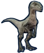 velociraptor jwe