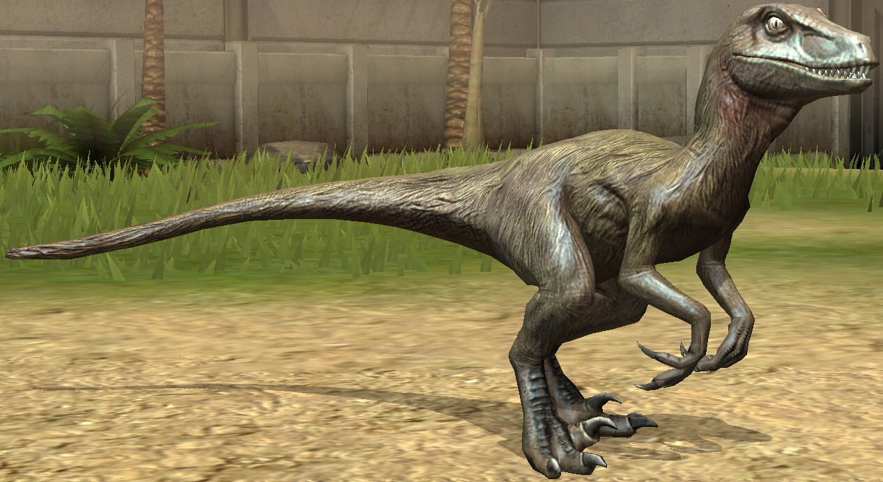 Image Utahraptor  lvl 10 jpg Jurassic  Park wiki 