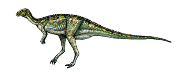 Dryosaurus-0