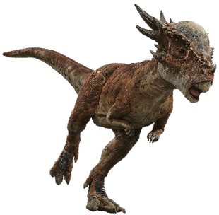 dracorex and stygimoloch