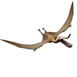 Pterodaustro-jurassic-world-the-game