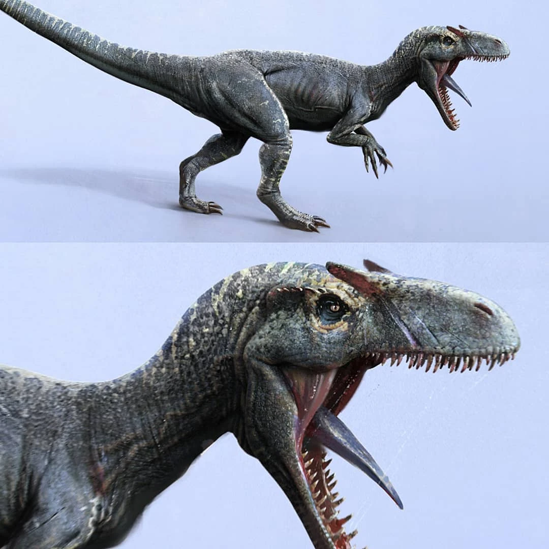 Imagen Allosaurus 38081379 241713566347877 3809885151194775552 n.jpg