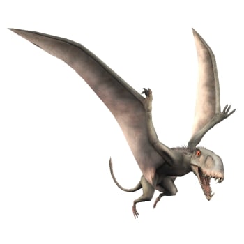 jurassic world fallen kingdom dimorphodon