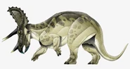 JPI Triceratops.png (445 KB) JPI Triceratops