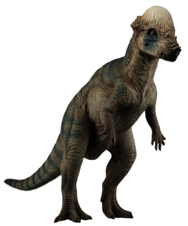 pachycephalosaurus jurassic world evolution