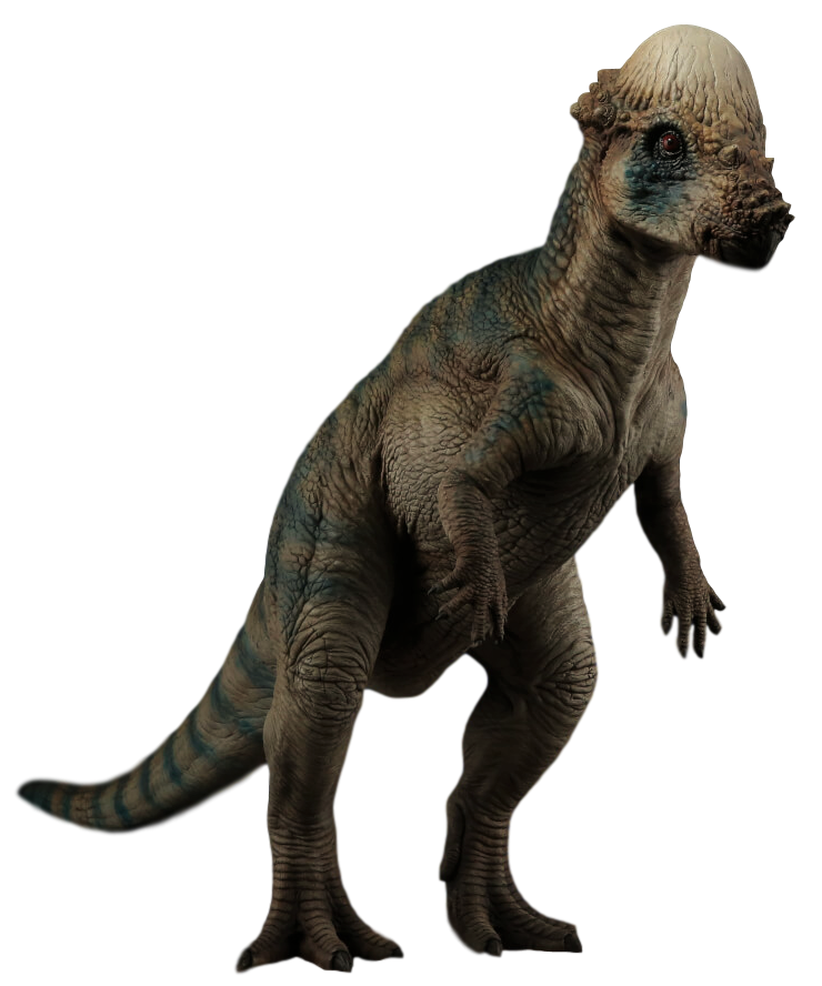 Image Jurassic Park Pachycephalosaurus By Camo Flauge Dcfu6qxpng 