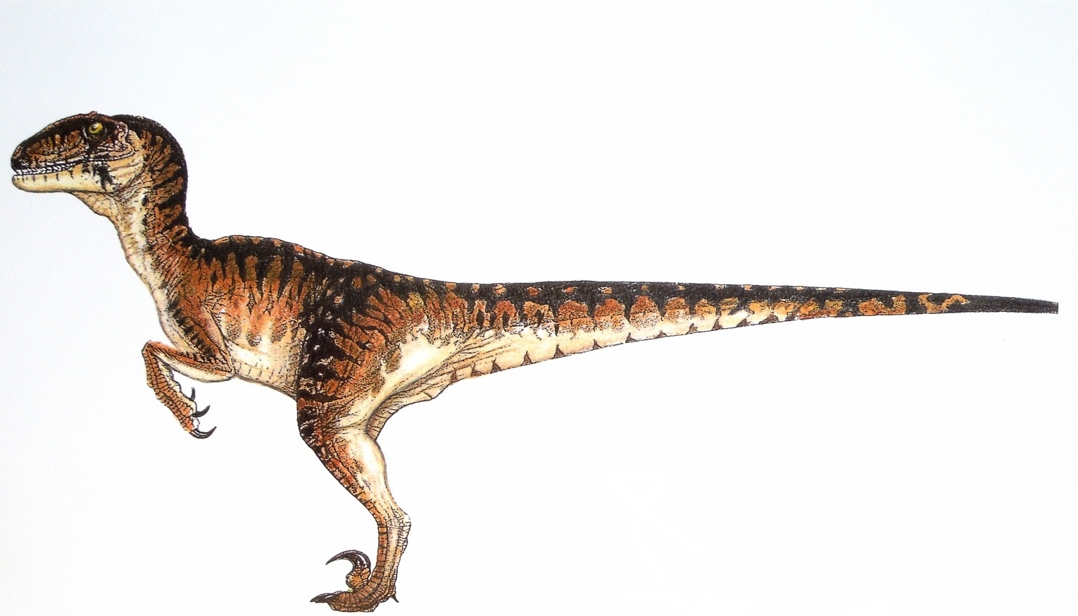 velociraptor jp1