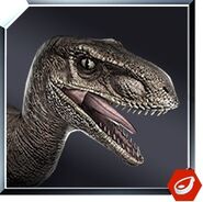 jw velociraptor