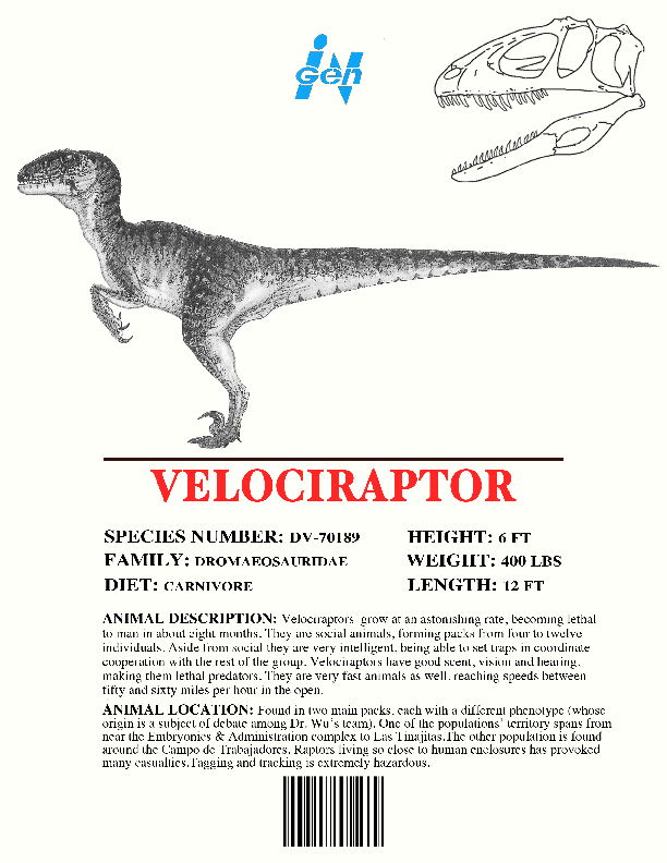 information about velociraptor