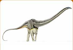 supersaurus jurassic park wiki