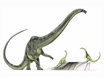 Diplodocus | Jurassic Park wiki | FANDOM powered by Wikia