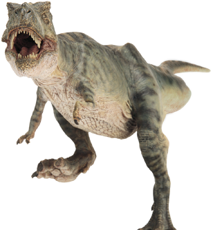 Rex kisspng-universal-s-islands-of-adventure-jurassic-park-th-tyrannosaurus-5ac3910ced45a1.9020592715227660929719
