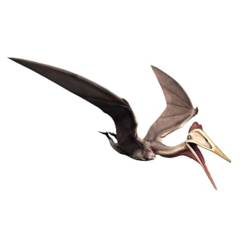 Image - Hatzegopteryx-jurassic-world-the-game.jpeg | Jurassic Park wiki ...