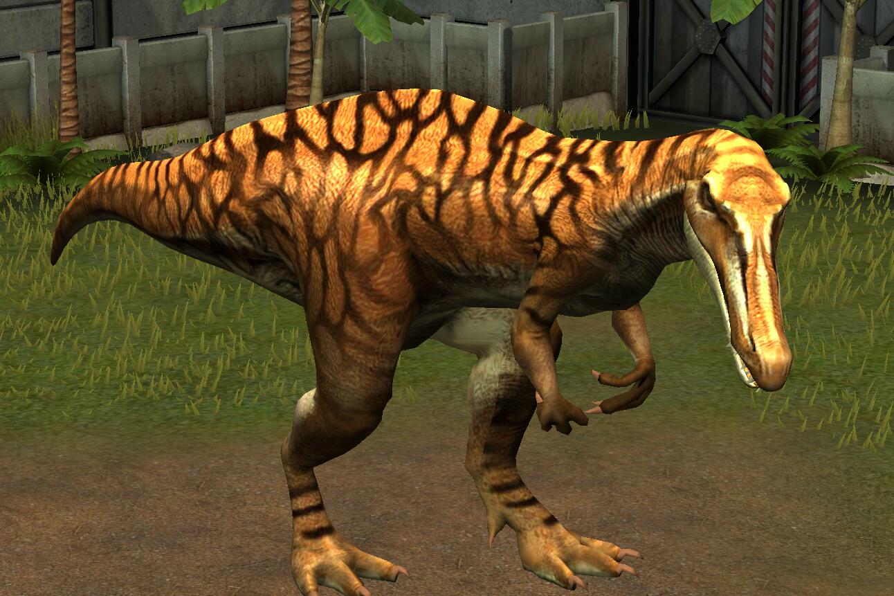 Image Suchomimus Tenerensis (50).jpg Jurassic Park wiki FANDOM