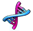 DNA