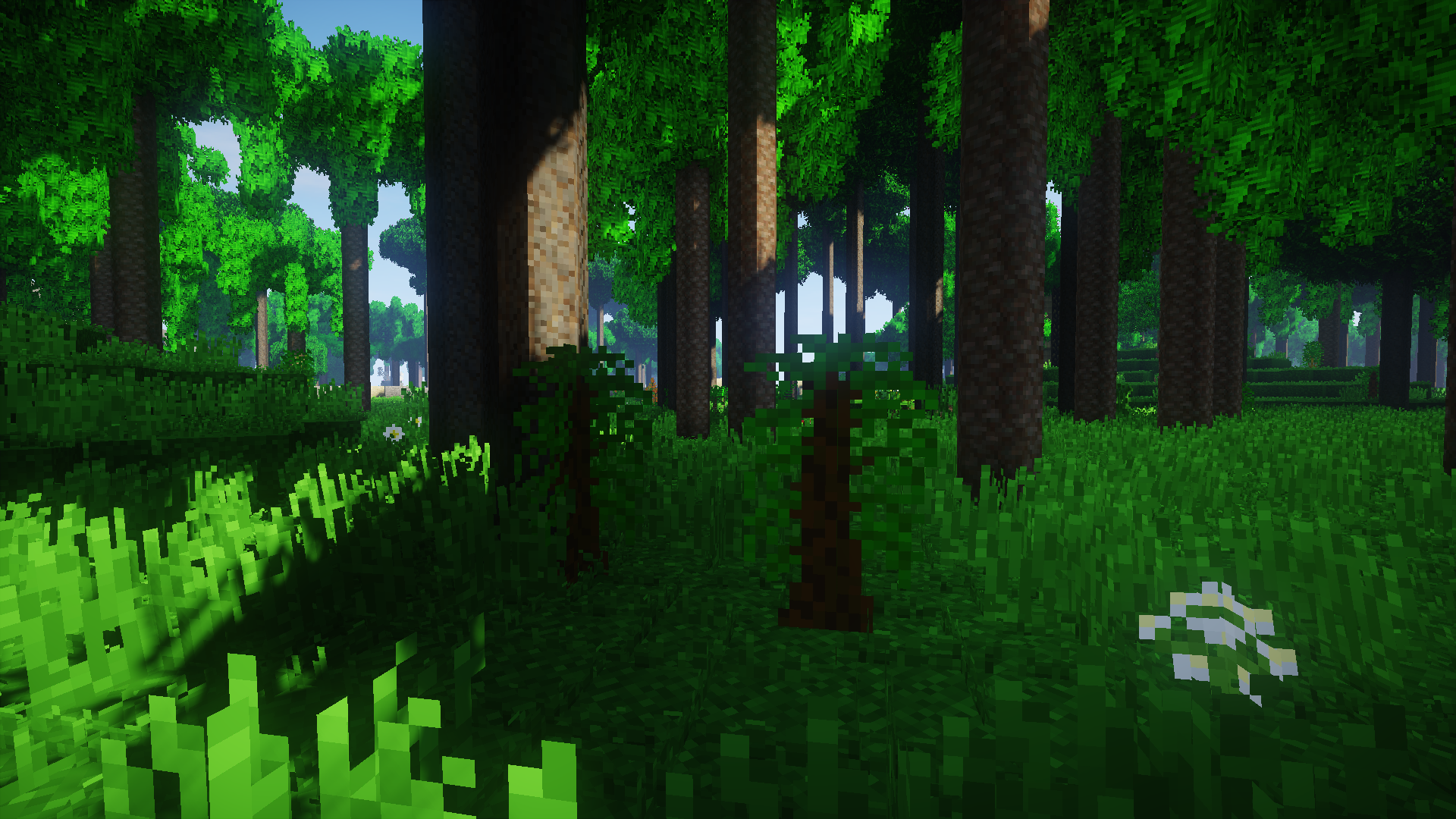 Tempskya JurassiCraftMod Wikia Fandom