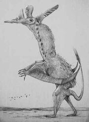 Pterodactylus-Dave-Peters-reimagined-Kosemen-Conway-July-2012-tiny