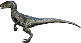 velociraptor evolution