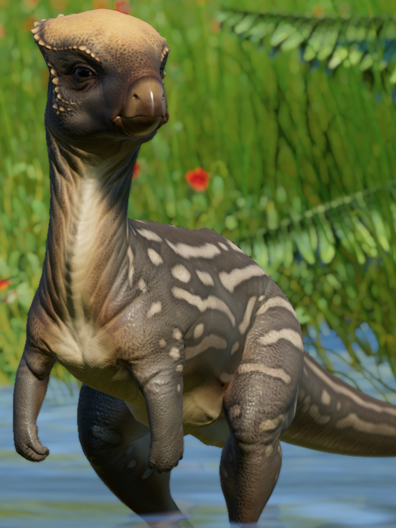 jurassic world evolution homalocephale