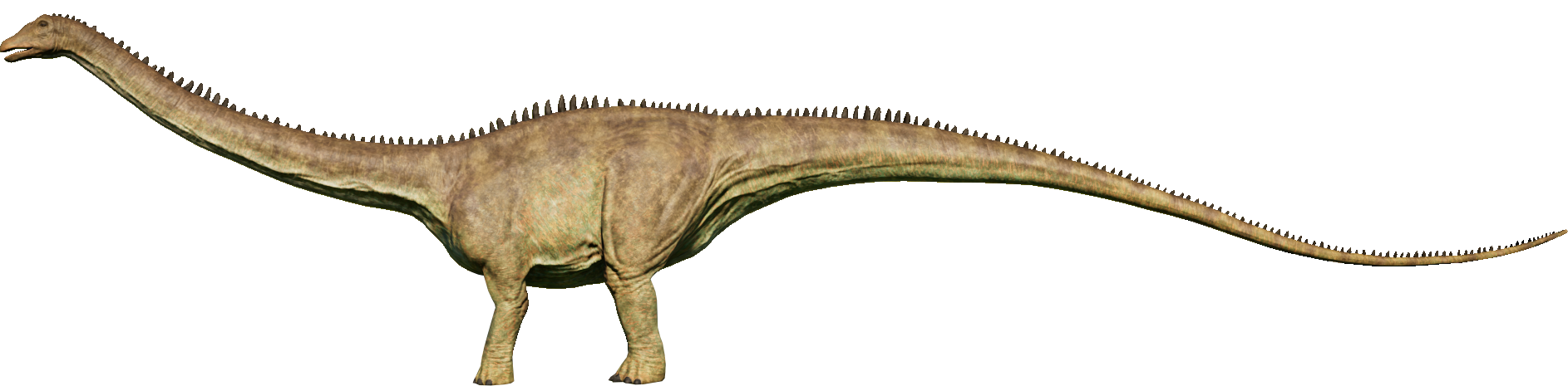 diplodocus brachiosaurus