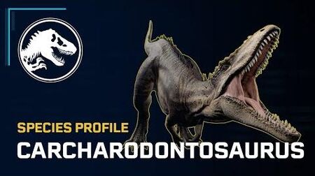 jurassic world evolution carcharodontosaurus