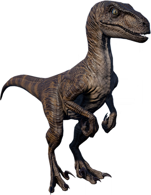 velociraptor evolution