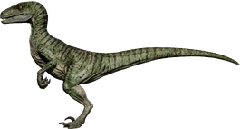 velociraptor evolution