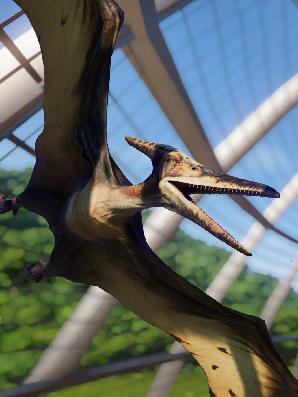 Pteranodon Jurassic World Evolution Wiki Fandom