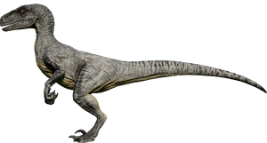 jurassic world evolution velociraptor