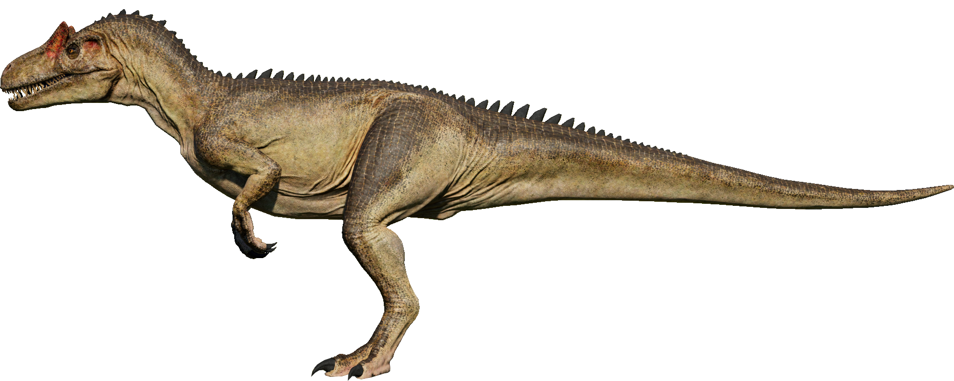 allosaurus jurassic