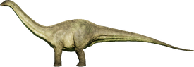 apatosaurus evolution
