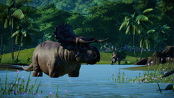 Nasutoceratops | Jurassic World Evolution Wiki | Fandom
