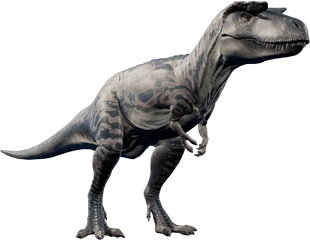 albertosaurus dinosaur