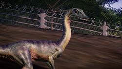 jurassic world evolution compsognathus