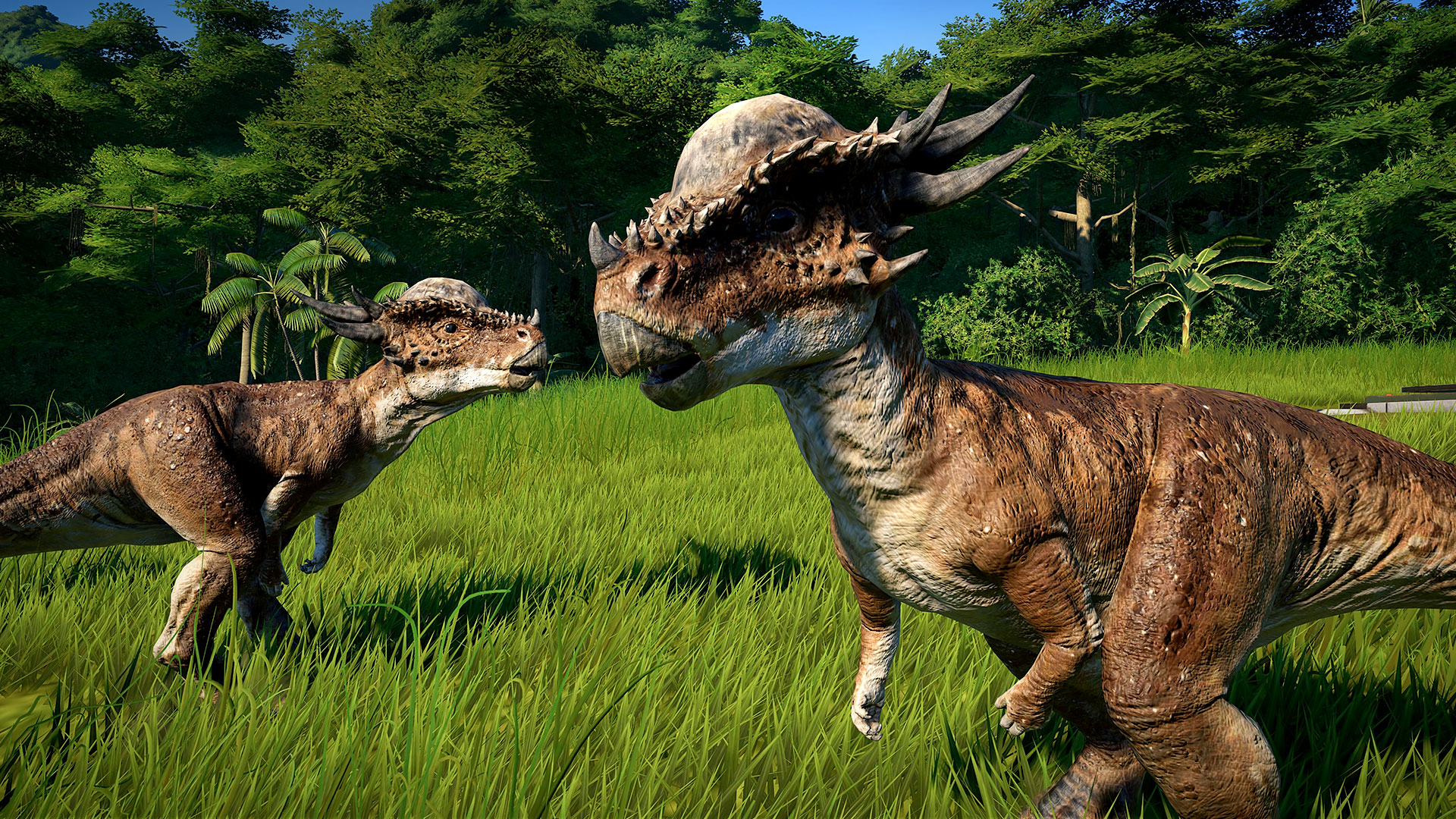 dracorex and stygimoloch