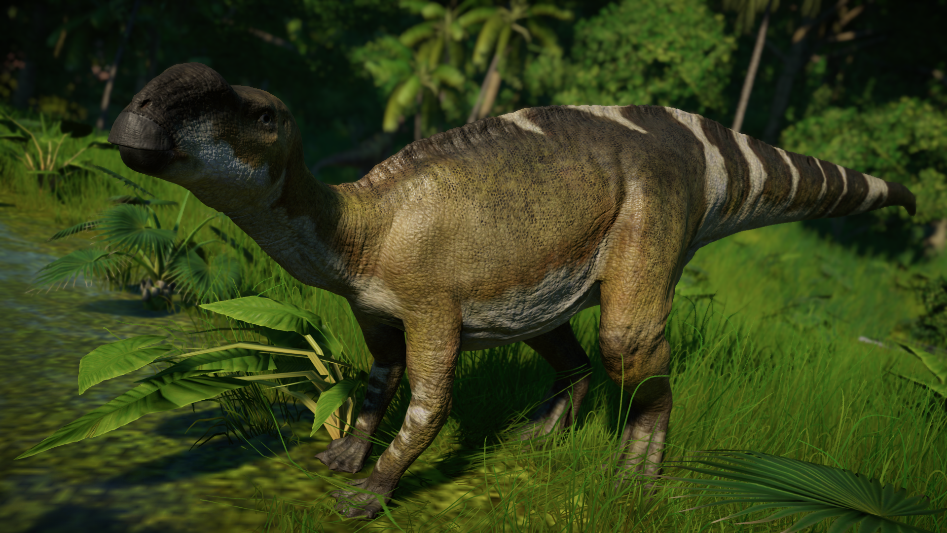 Muttaburrasaurus Jurassic World Evolution Wiki Fandom Powered By