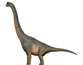 brachiosaurus evolution