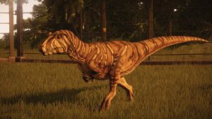 rhamphorhynchus pterosaur
