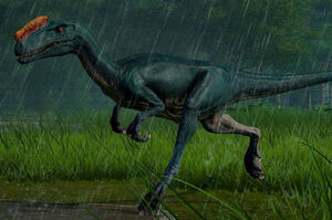 proceratosaurus jwe