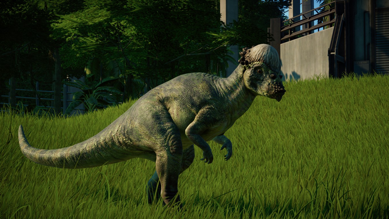 pachycephalosaurus jurassic world evolution